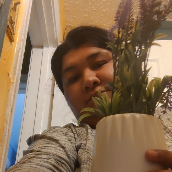 Fake Plants - Picture 6 of 6